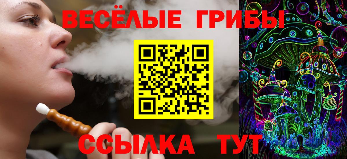 Сальск  купить  цена  Вход с VPN  Галлюциногенные грибы ЛСД 